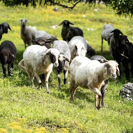 Wimbachlehen * Ramsau bei Berchtesgaden